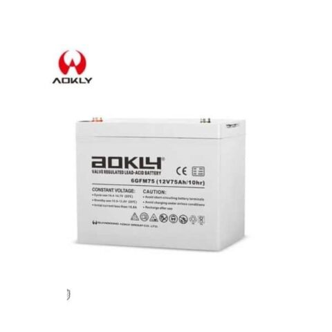 Aokly 6GFM75 12V 75 Ah Gel